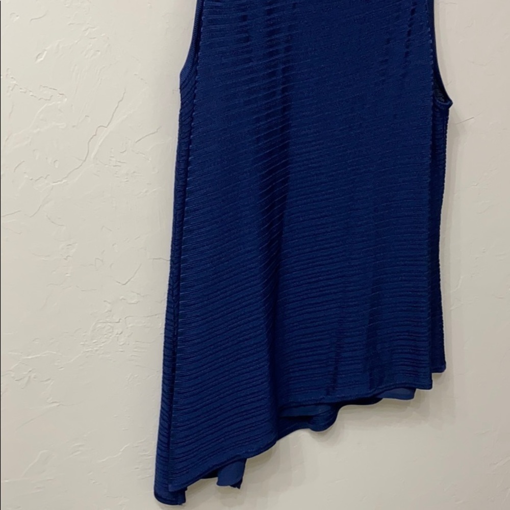 WHBM SL double layer PO blue.Large.NWT - Picture 3 of 15